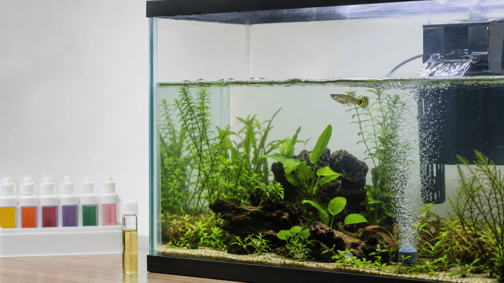 An aquarium with surface agitation, fine aeration bubbles, and water-testing supplies